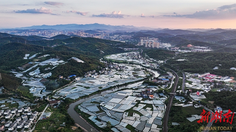 特色产业 强村富民