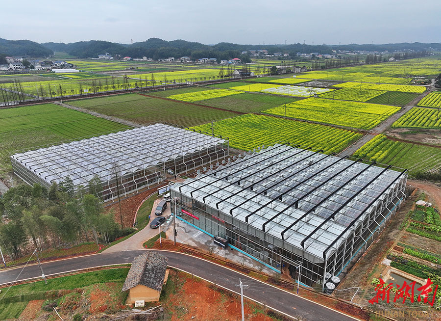 新建智能化育秧工厂助力春耕