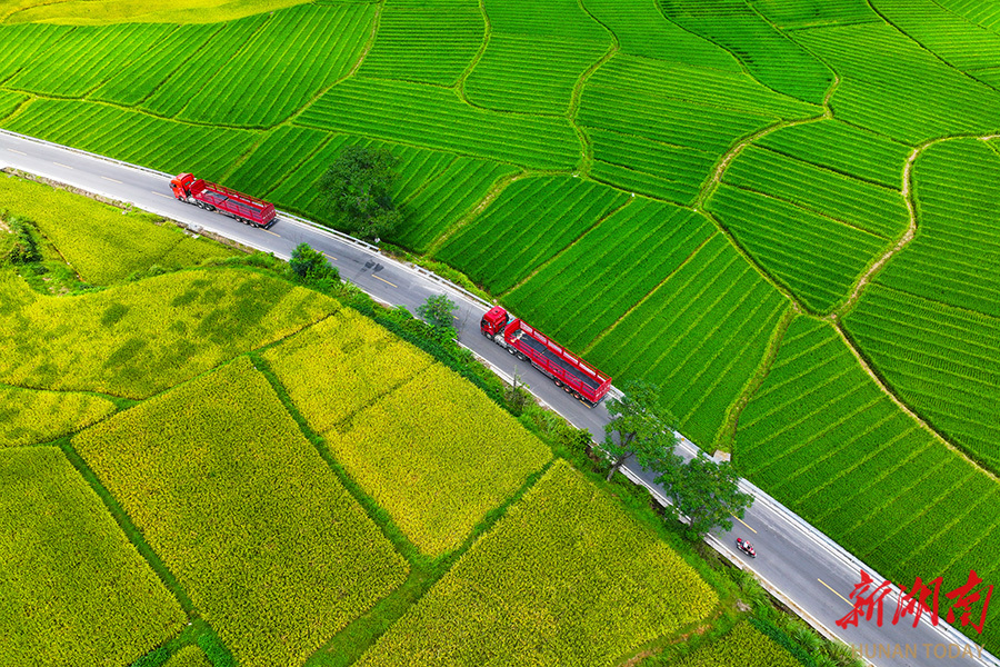 “四好农村路” 串起新风景